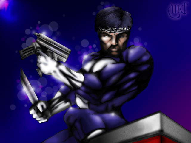 Punisher by Wildcat