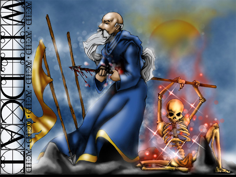 Wizard by Wildcat