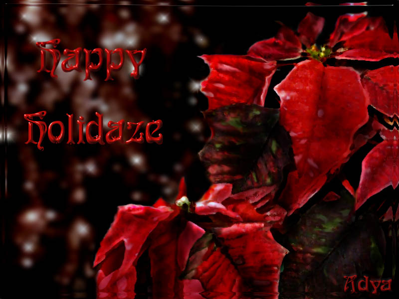 Holidaze greetings from ADYA! by Adya