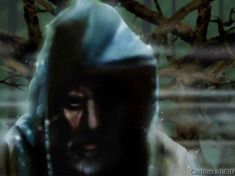 Old Grey Hermit by Catbones
