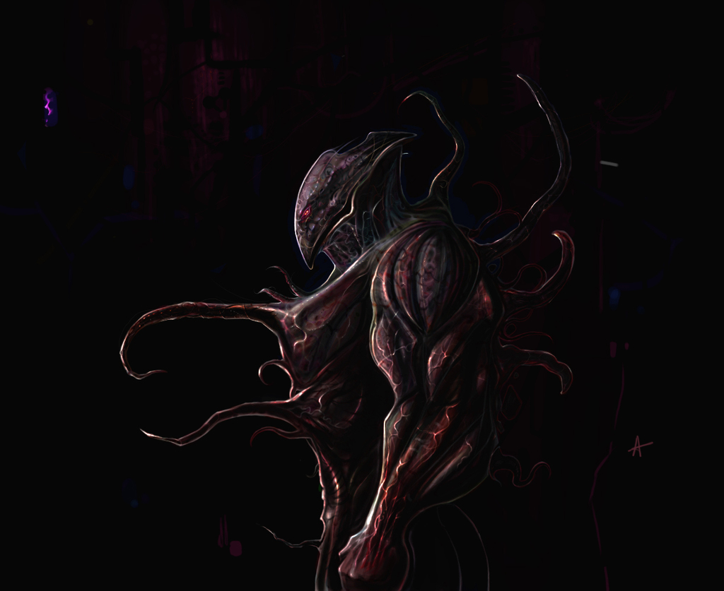 sapien x by tcf