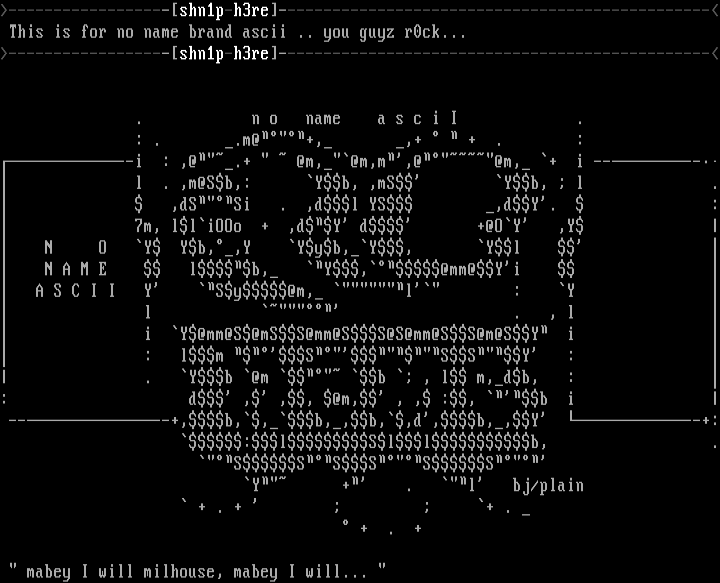 Logo / Header (No Name Brand Ascii) by Black Jack