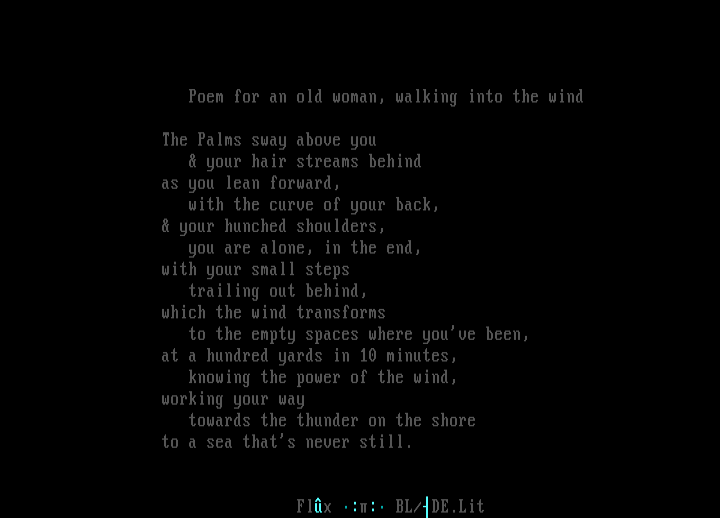 'poem for an old woman...' by flux