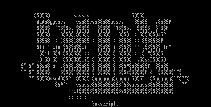 bMX-script. by tankgirl.