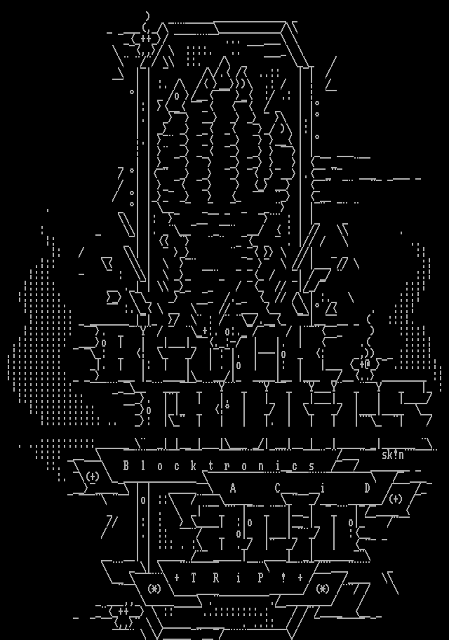 Blocktronics ACiD TRiP! by sk!n