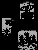 dizcolly by fastjack