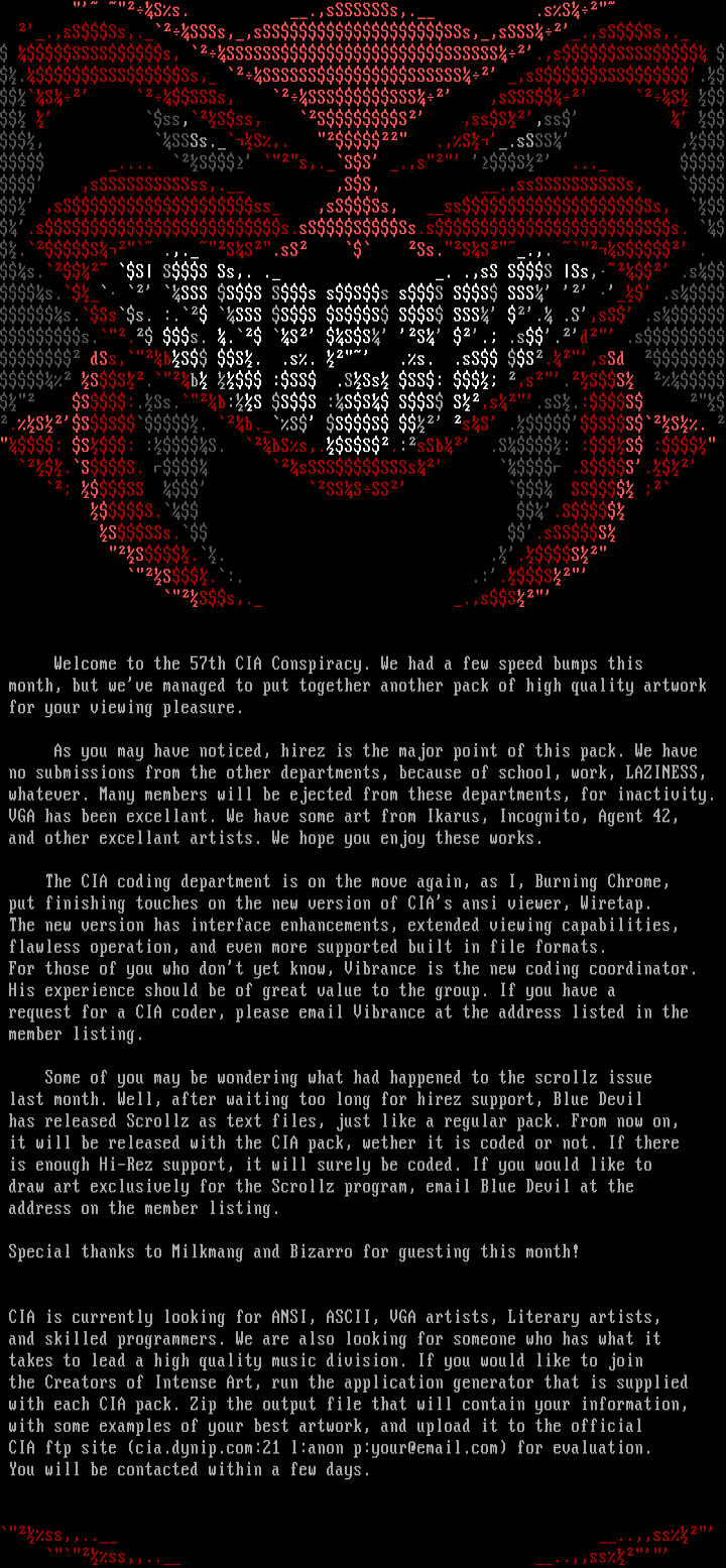Information File by Burning Chrome