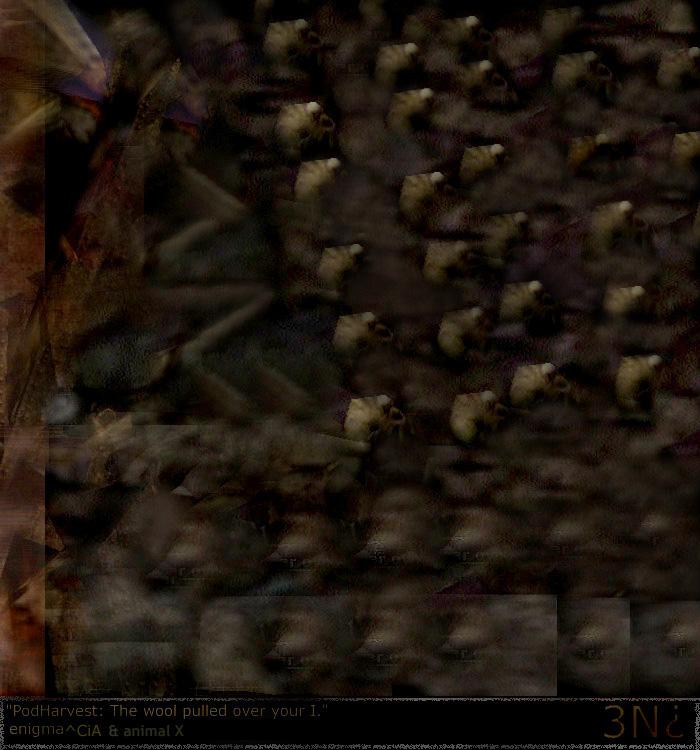 PodHarvest: The Wool Pulled Over by Enigma
