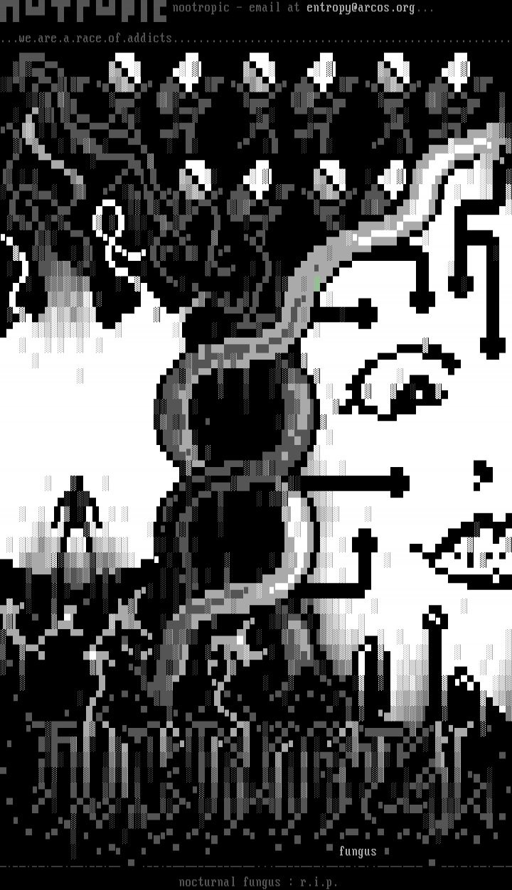Nocturnal Fungus: R.I.P. by Nootropic