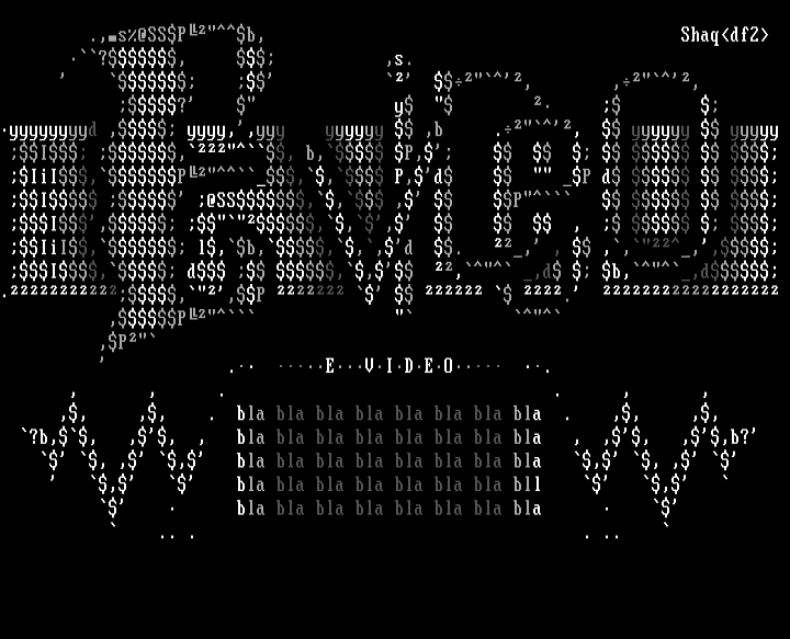 E-Video board logo by Shaq