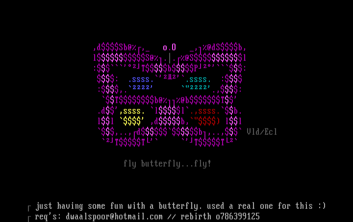 fly butterfly! by velodrome