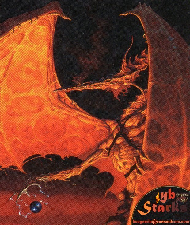 The real dragon by Starks