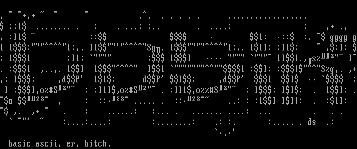basic!ascii by dshay