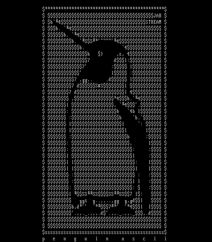 penguin by hube