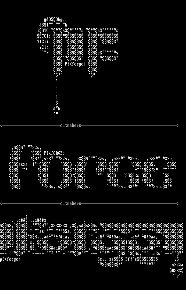 Ascii logo coli by Plasmic Fluid