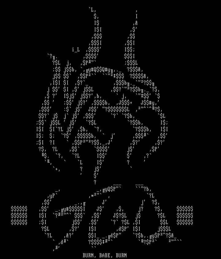 GALZA: burn, babe, burn by Iron_Lung