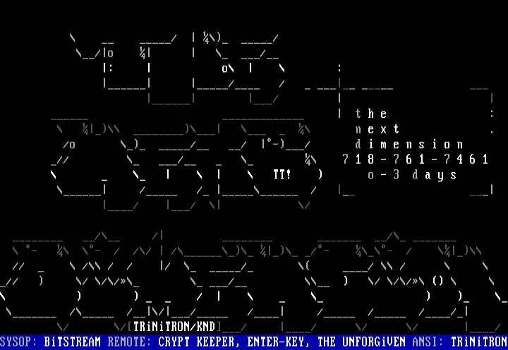 Next Demension BBS Advertisement by Trinitron