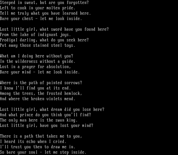 Lost Portion by Akasha