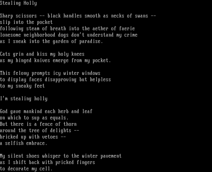 I'm Stealing Holly - a lit by Zinnia Kray