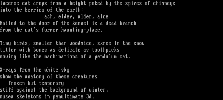Winter 2 - a lit by Zinnia Kray