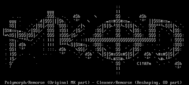 MKOD by Cleaner + Polymorph