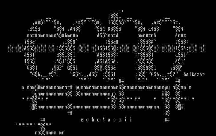 echo!ascii by baltazar