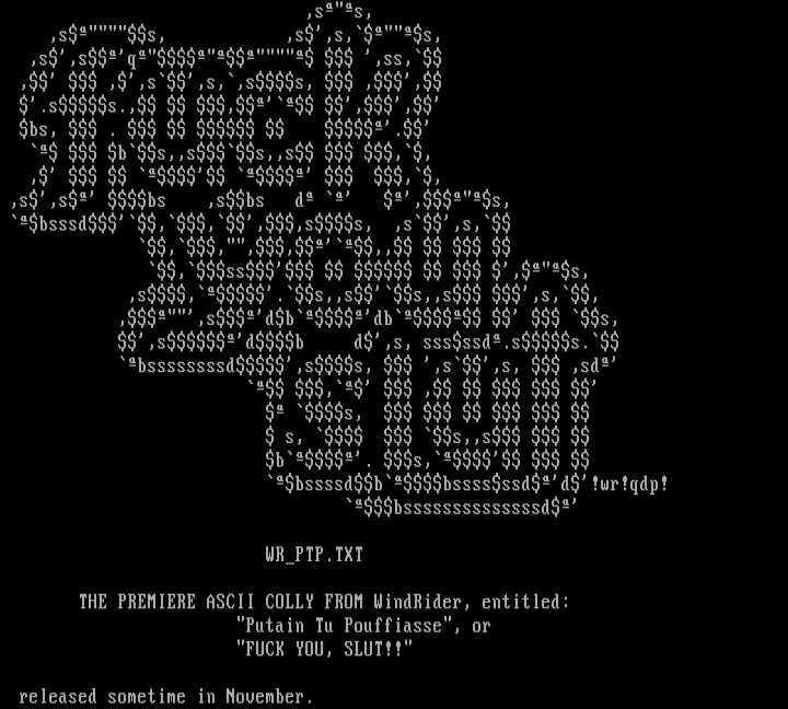 fuckyouslut by Windrider