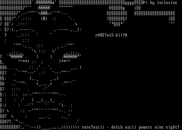 rARE!ASCii promo by Inclusive