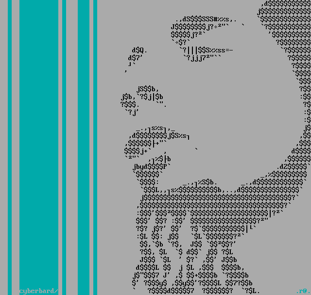 cyberbard