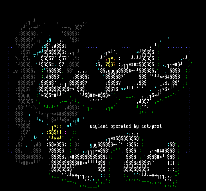 wayland by prosthesis