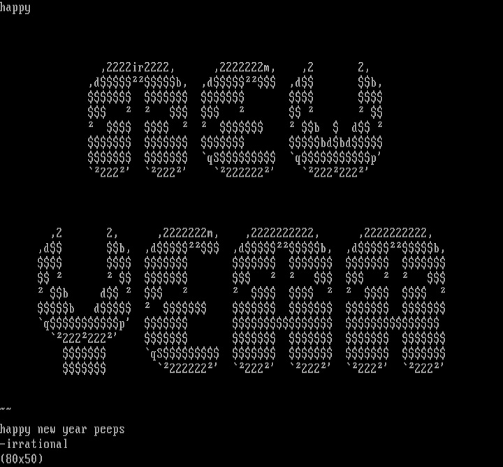 happy new year by irrational