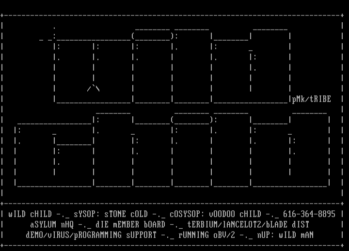 Wild Child ASCii by Piromaniak