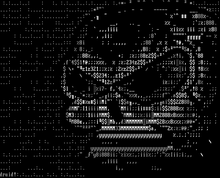 skull by druid
