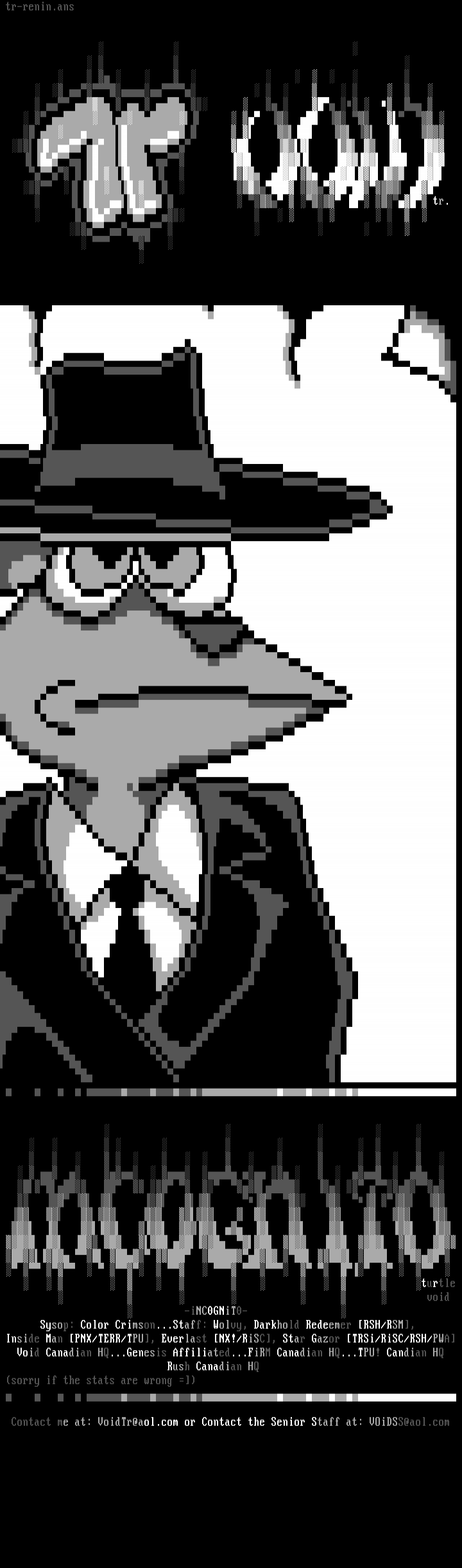 Incognito by Turtle