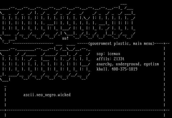 Government Plastic by Neo Negro