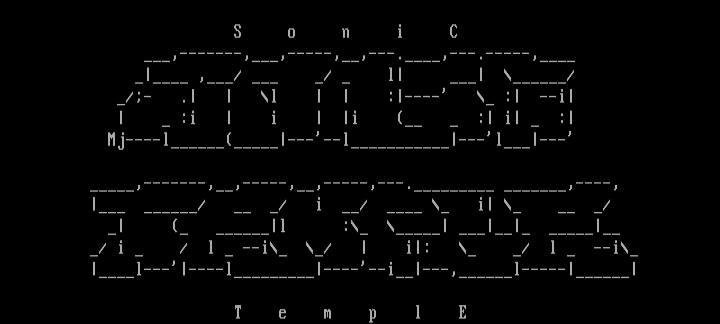 Sonic Temple by Midnight Judge