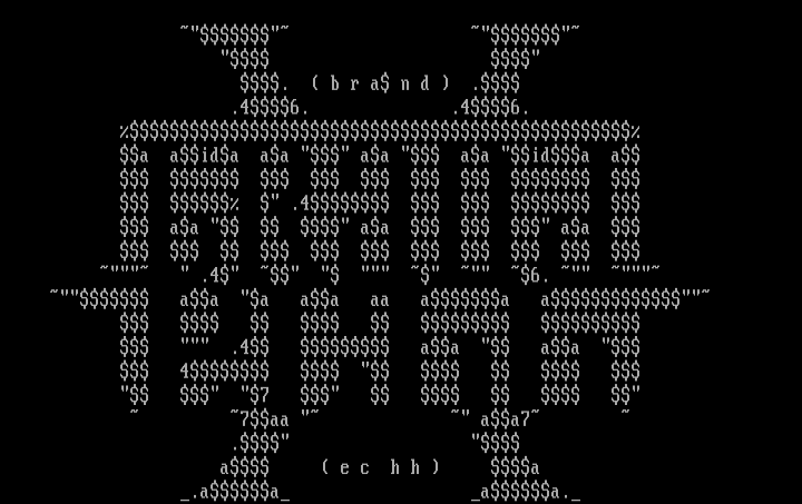 Brand Echh by Iodine