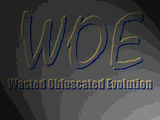 woe #4 vga by flair